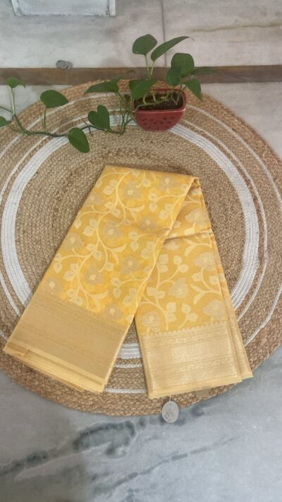 Banaras Kanchi Organza